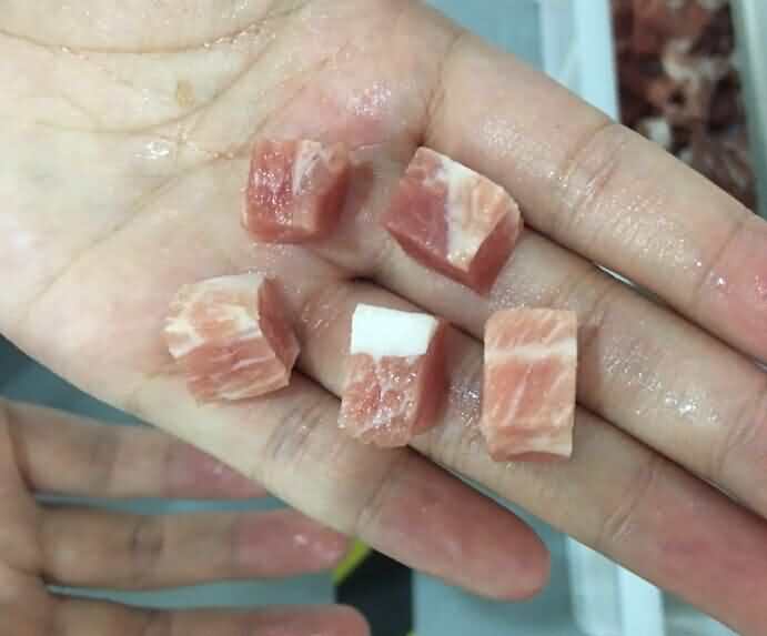 切丁機切凍肉丁效果