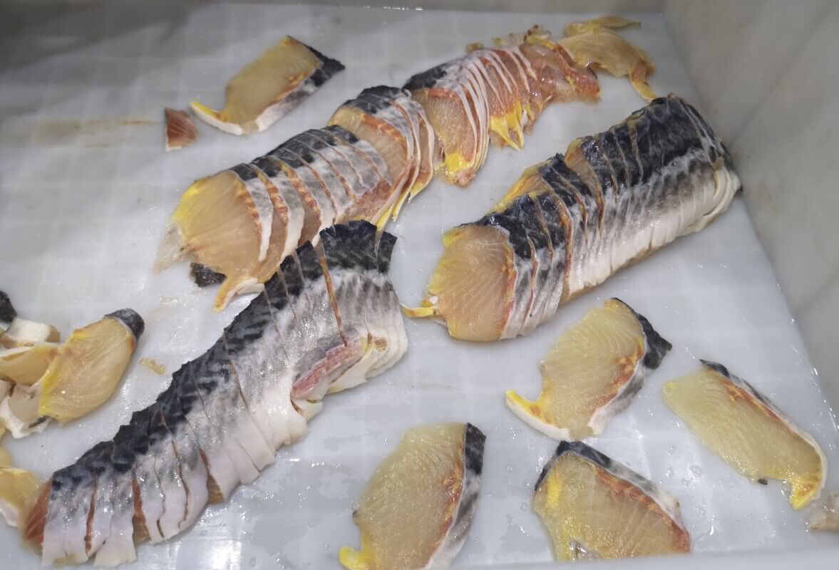 5d887711322f2.jpg 5d887711322f2.jpg