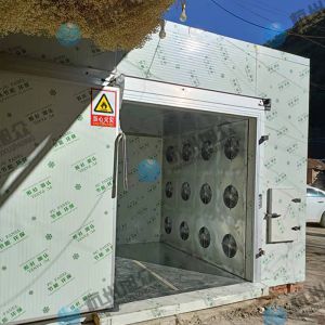 云南李總10P頂吹風烘干花卉，反饋不錯！