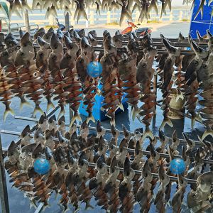 客戶兩臺雙高效烘干房，烘金昌魚安裝完成！